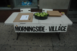 Tabling At A Busy Location.