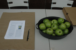 Tabling At A Busy Location.